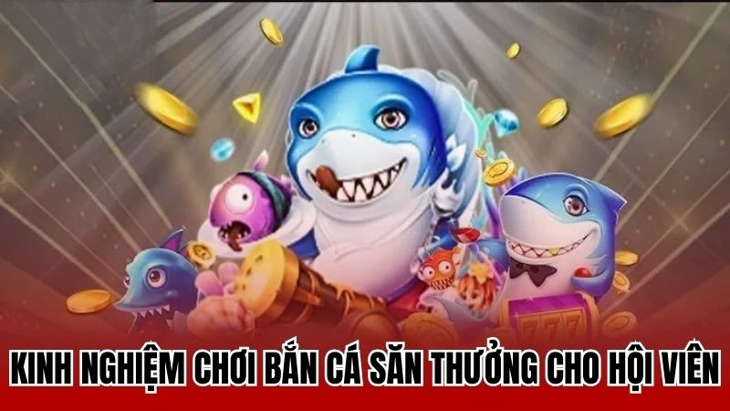 Kinh nghiệm chơi bắn cá săn thưởng cho hội viên