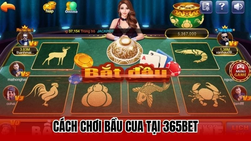 Cách chơi bầu cua tại 365bet