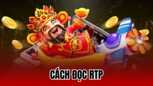 Cách Đọc RTP