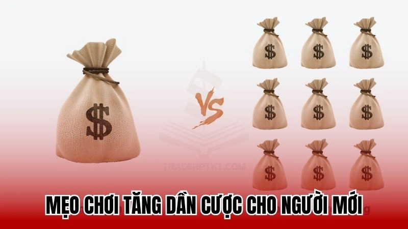 Mẹo chơi tăng dần cược cho người mới