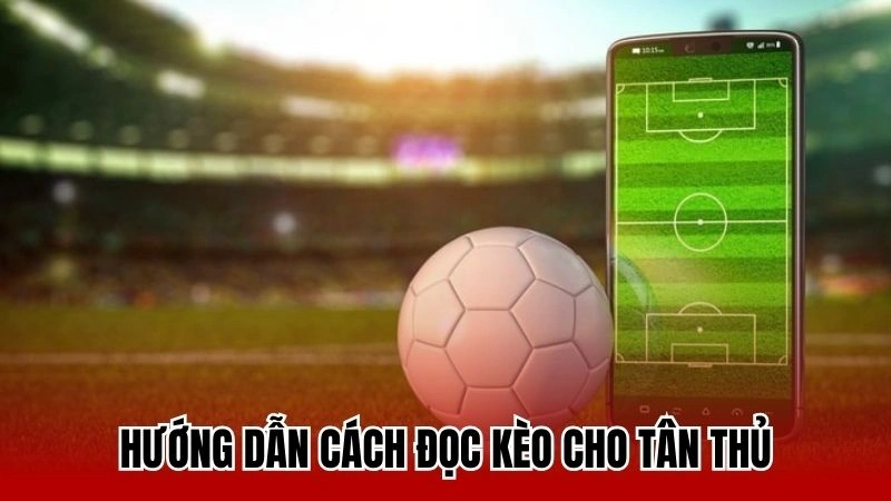 Hướng dẫn chi tiết các cách đọc kèo hiệu quả cho tân thủ