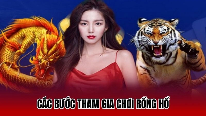 Các bước tham gia chơi rồng hổ