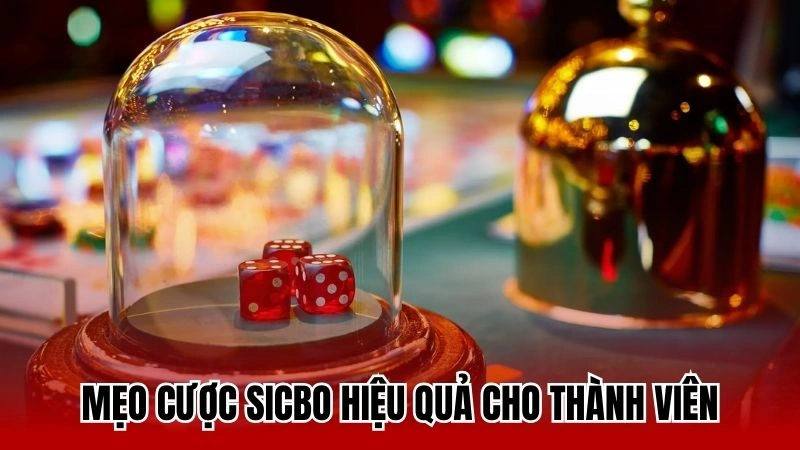 Mẹo cược Sicbo hiệu quả cho thành viên mới tham gia